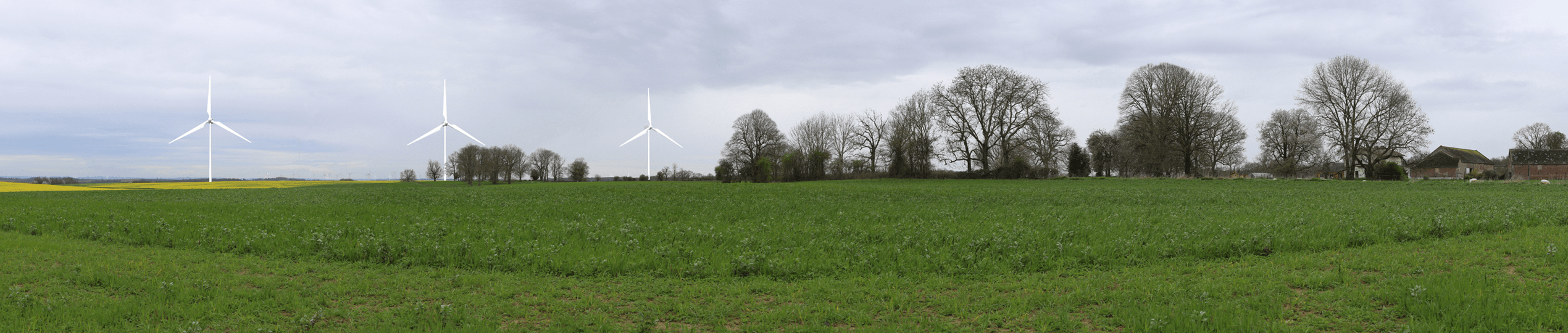 FRAN_ PM site internet - Copie